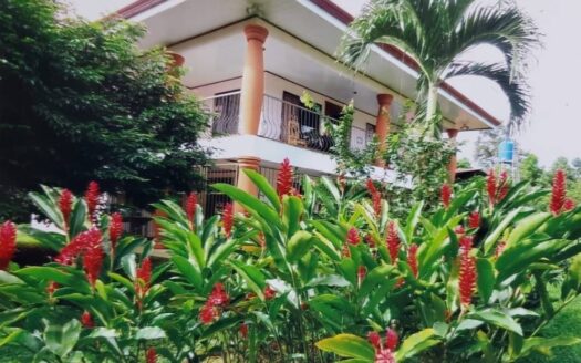 Property in Cariari, Pococí – 6 Bedrooms and Natural Views Near Tortuguero