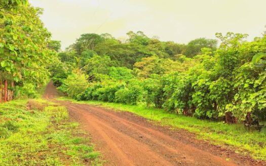 8-Hectare Flat Farm for Sale in Cuarros, Near Guacalillo Rock