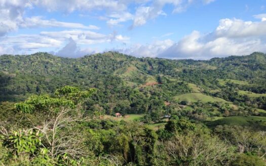 Lot for Sale in Tarcolitos, Garabito | 7,100 m² for Self-Sustaining House with Ocean View